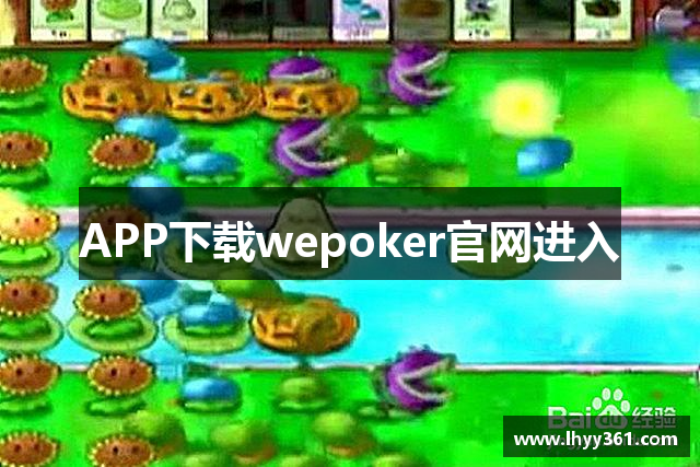 APP下载wepoker官网进入